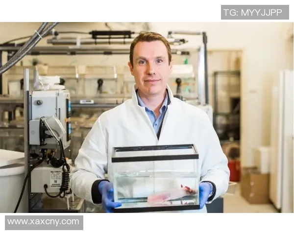 电竞热议CSGOJDG个人能力的变革与未来发展探讨 电竞热议CSGOJDG个人能力的变革与未来发展探讨