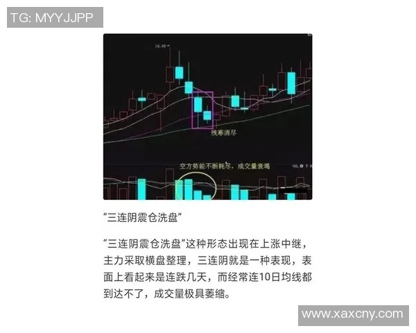 esports数据解析WE中路突破战术的成败得失与未来发展方向